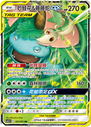 Venusaur & Snivy GX Card