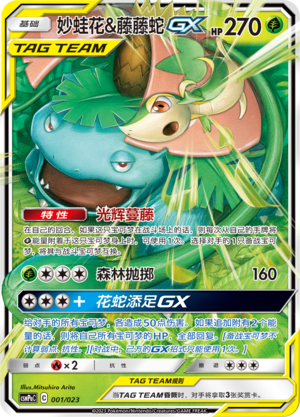Venusaur & Snivy GX Card
