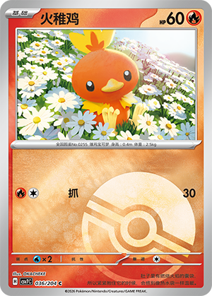 Torchic Card