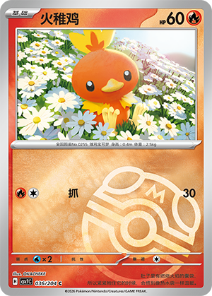 Torchic Card