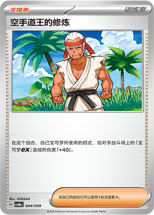 Karate King's Training 空手道王的修炼 044/049