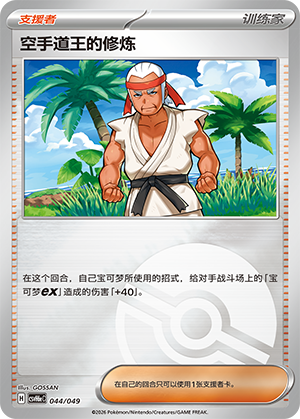 Karate King's Training 空手道王的修炼 044/049