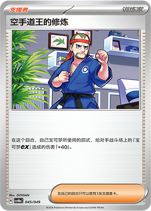 Karate King's Training 空手道王的修炼 045/049