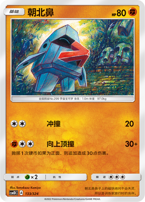 Nosepass Card