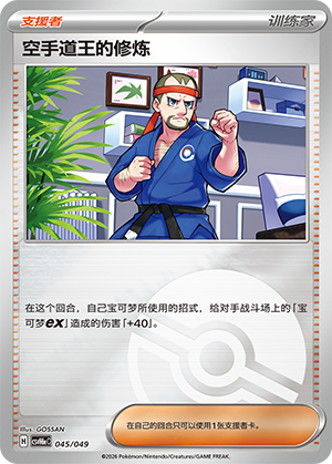 Karate King's Training 空手道王的修炼 045/049