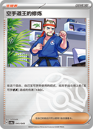 Karate King's Training 空手道王的修炼 045/049 CSVH6eC
