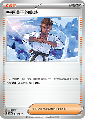 Karate King's Training 空手道王的修炼 046/049
