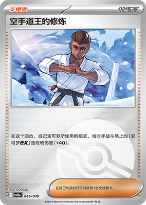 Karate King's Training 空手道王的修炼 046/049 CSVH6eC