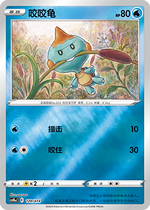Chewtle Card