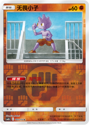 Tyrogue Card