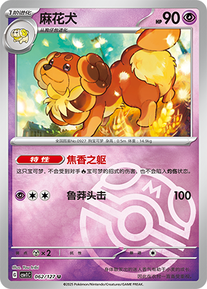 Dachsbun Card