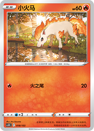 Ponyta Card