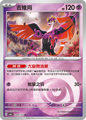 Fezandipiti 吉雉鸡 28 01/07