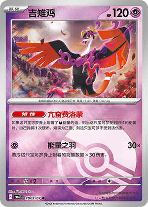 Fezandipiti 吉雉鸡 28 02/07