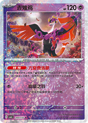 Fezandipiti 吉雉鸡 28 03/07