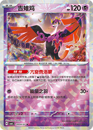 Fezandipiti 吉雉鸡 28 04/07