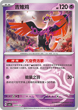 Fezandipiti 吉雉鸡 28 05/07