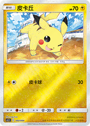 Pikachu Card