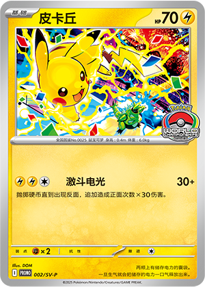 Pikachu Card