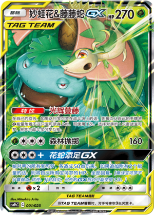 Venusaur & Snivy GX Card