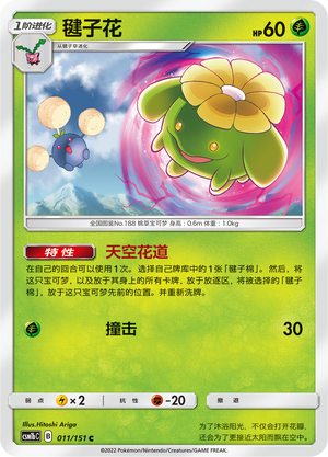 Skiploom Card