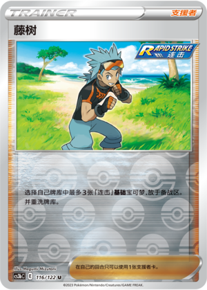 [Trainer] Brawly Card
