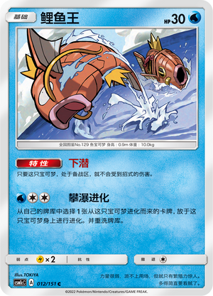 Magikarp Card