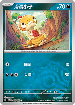 Scraggy Card