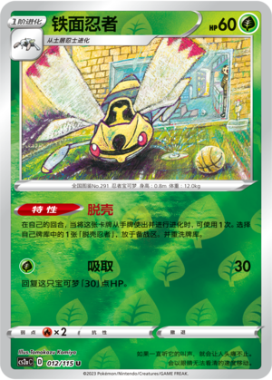 Ninjask Card