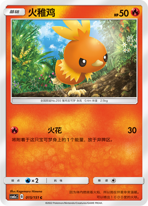 Torchic Card