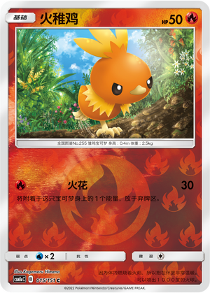 Torchic Card