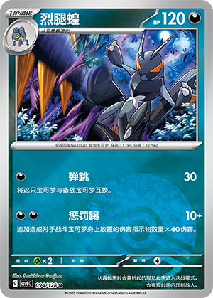 Lokix Card