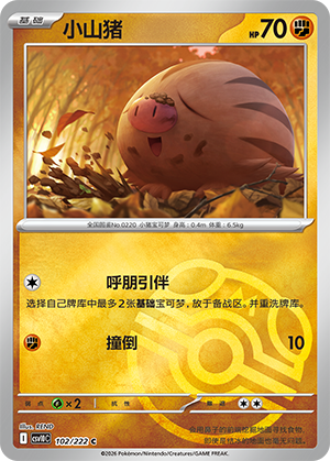 Swinub Card