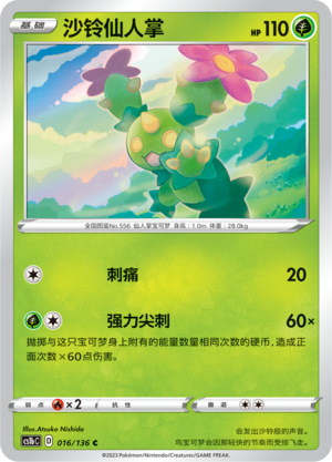 Maractus Card