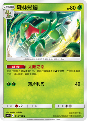 Grovyle Card