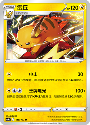 Raichu Card