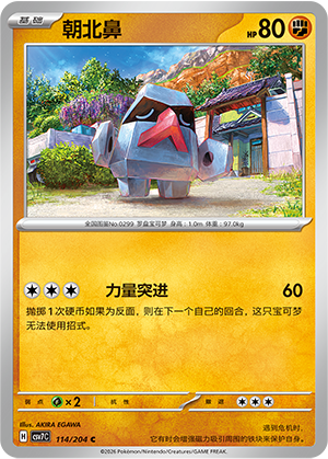 Nosepass Card