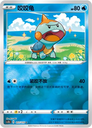 Chewtle Card