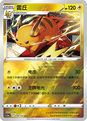 Raichu Card