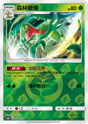 Grovyle Card