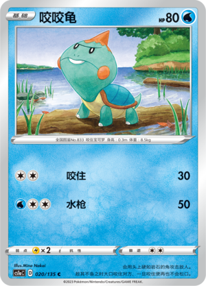 Chewtle Card