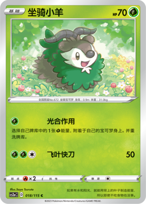 Skiddo Card