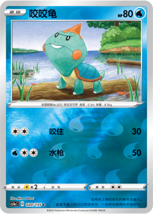 Chewtle Card