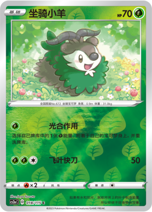 Skiddo Card