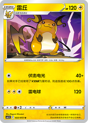 Raichu Card