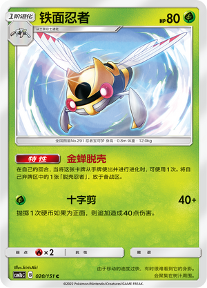 Ninjask Card
