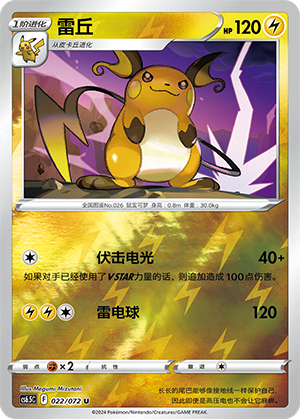 Raichu Card