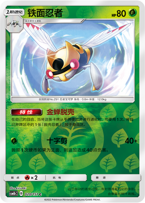 Ninjask Card