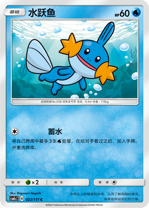 Mudkip Card