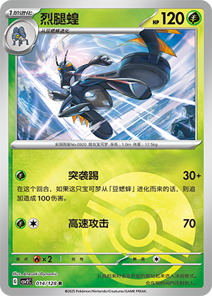 Lokix Card